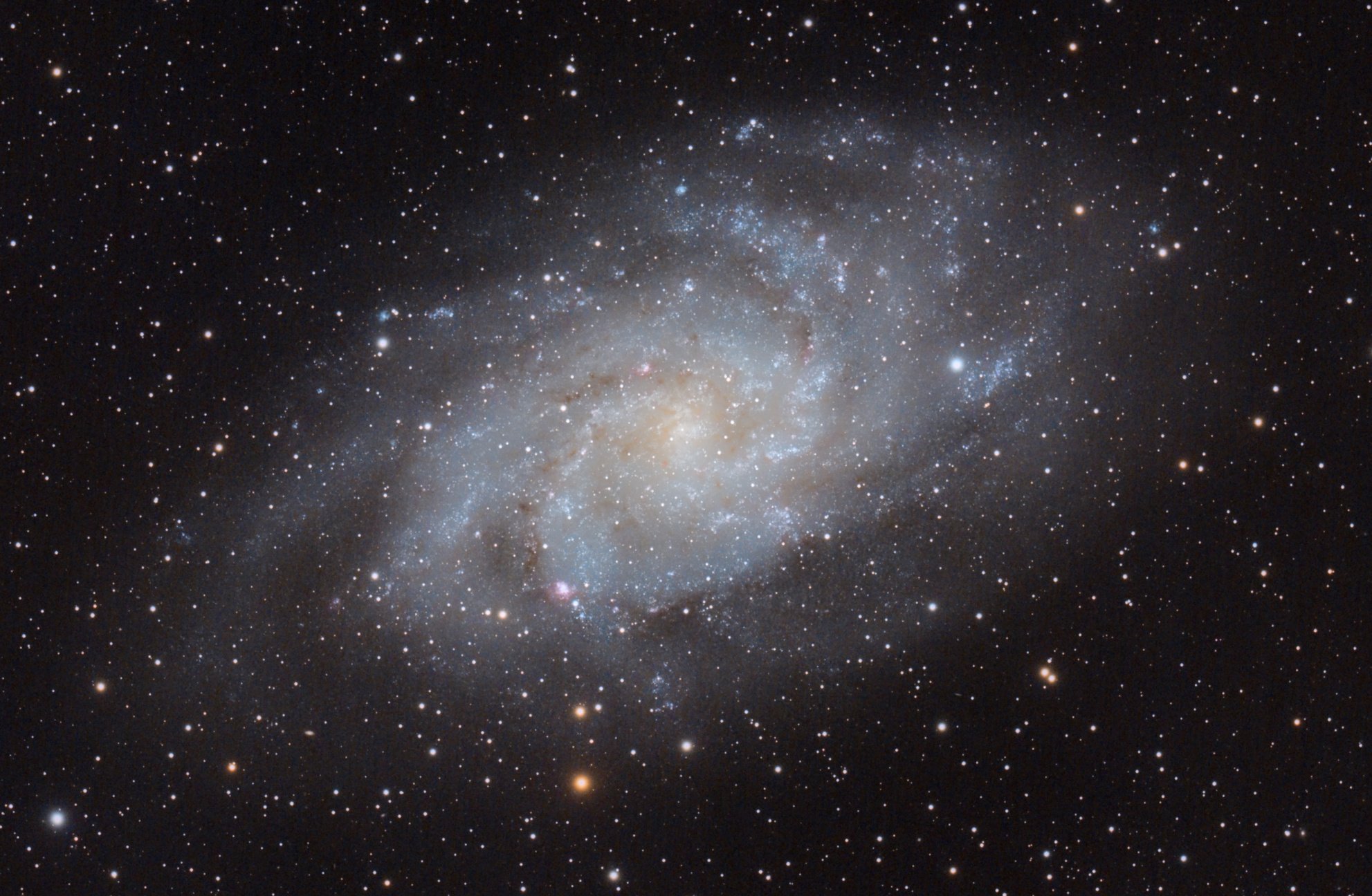 Triangulum Galaxy